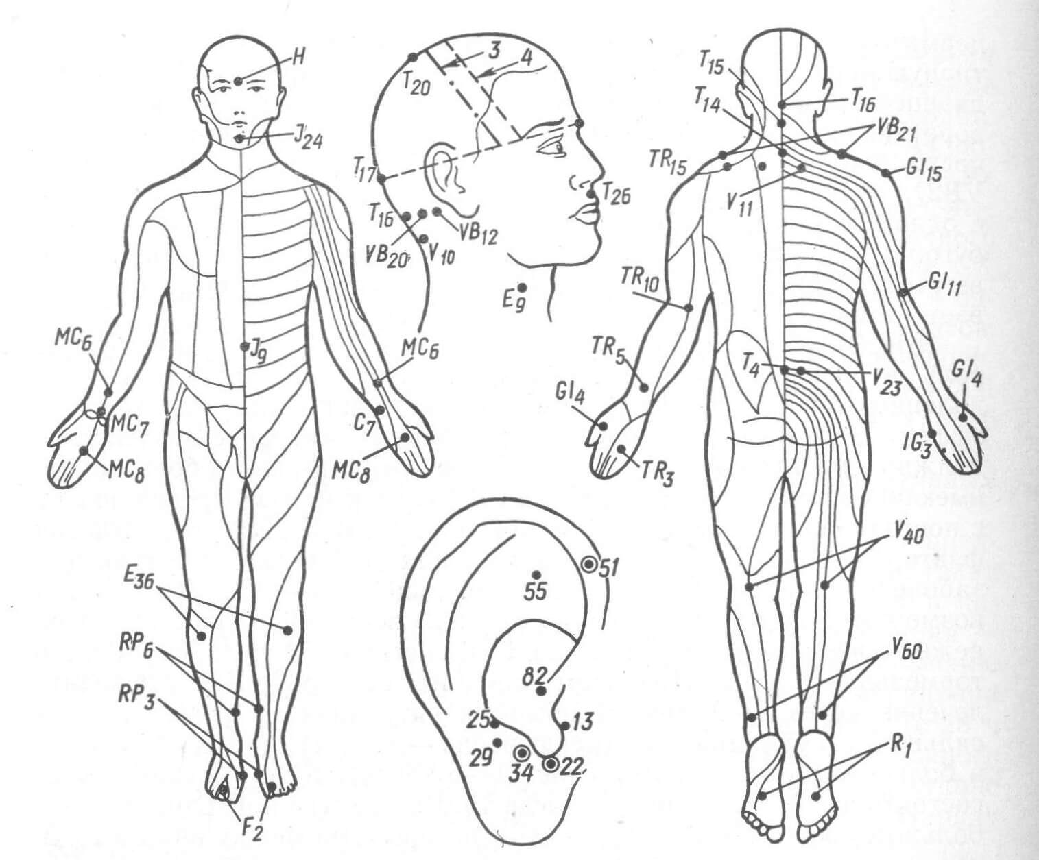 Точечный массаж сканворд. Биологически активные точки - точки акупунктуры. Акупунктура тела человека схема болевые точки. Схема точек акупунктуры на теле человека. Акупунктура схема точек на теле.