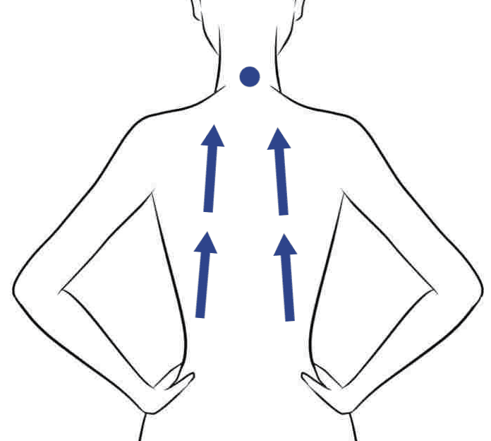 Схема лимфодренажного массажа спины